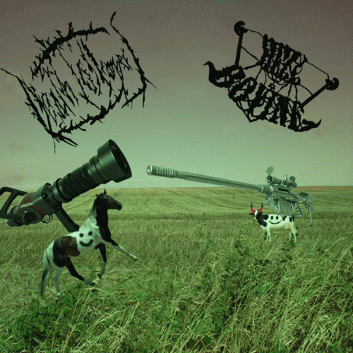 Hell Bovine : Equine Vs. Bovine: Origins